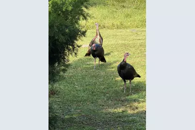 40 Sheoah Boulevard #27, Winter Springs, FL 32708 - Photo 21