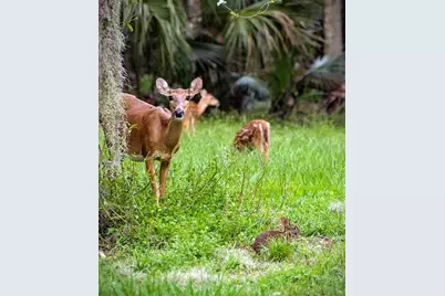 103 Acadia Terrace, Celebration, FL 34747 - Photo 83
