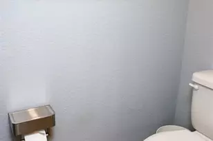 12175 Stone Pine St, Riverview, FL 33569 - Photo 11