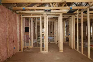 17335 Glossy Pomelo Wy, Winter Garden, FL 34787 - Photo 9