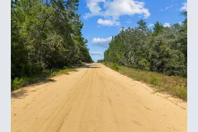 211 Selma Avenue, Interlachen, FL 32148 - Photo 3