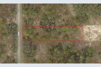 Sw 206th Avenue, Dunnellon, FL 34431 - Photo 3