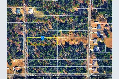 Sw 206th Avenue, Dunnellon, FL 34431 - Photo 1