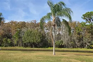 11231 Scenic View Ln, Orlando, FL 32821 - Photo 3