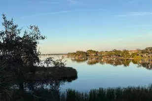 16771 Turtle Hatch Dr, Winter Garden, FL 34787 - Photo 39