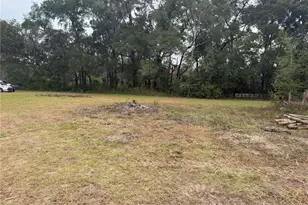 3700 W Hwy 316, Reddick, FL 32686 - Photo 3