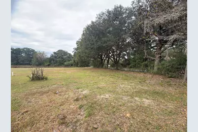 3700 W Highway 316, Reddick, FL 32686 - Photo 5