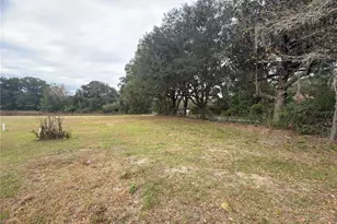 3700 W Hwy 316, Reddick, FL 32686 - Photo 5