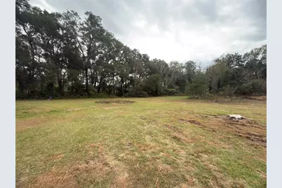 3700 W Highway 316, Reddick, FL 32686 - Photo 9