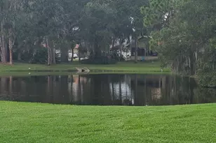 816 Brimfield Ct, Port Orange, FL 32127 - Photo 45