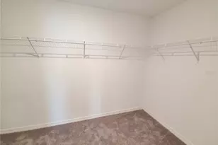 10353 Scarlet Skimmer Dr, Riverview, FL 33578 - Photo 11