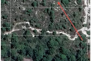 5907 Canopy Rd, Sebring, FL 33875 - Photo 5