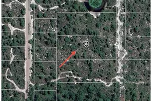 5907 Canopy Rd, Sebring, FL 33875 - Photo 3