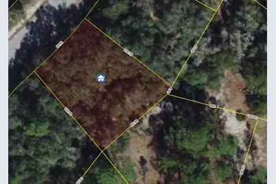 1231 Caribbean Drive, Kissimmee, FL 34759 - Photo 1