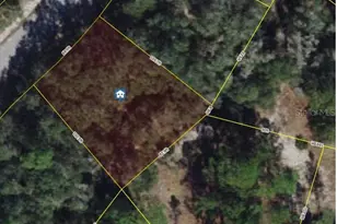 1231 Caribbean Dr, Kissimmee, FL 34759 - Photo 1