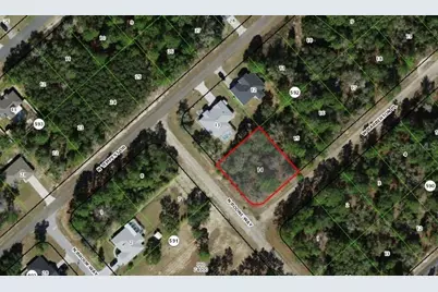 3193 W Barberton Place, Citrus Springs, FL 34433 - Photo 1