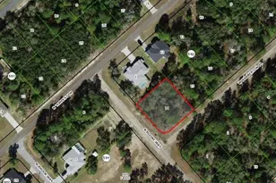 3193 W Barberton Pl, Citrus Springs, FL 34433 - Photo 1