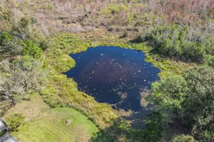 2944 Sunset Vista Blvd, Kissimmee, FL 34747 - Photo 45