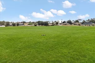 31707 Broadwater Ave, Leesburg, FL 34748 - Photo 17