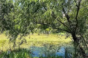 2361 Baltimore St, North Port, FL 34286 - Photo 39