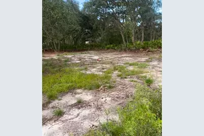 Brookside Circle, Mount Dora, FL 32757 - Photo 3