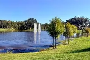 11461 Nona Sound St, Orlando, FL 32832 - Photo 41