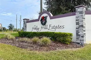 774 Lobelia Dr, Davenport, FL 33837 - Photo 31