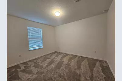 3928 Capri Coast Drive, Plant City, FL 33565 - Photo 21