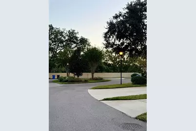 6517 Spring Oak Court, Tampa, FL 33625 - Photo 53