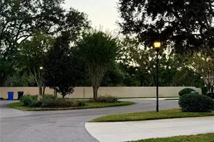 6517 Spring Oak Ct, Tampa, FL 33625 - Photo 53