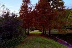 6517 Spring Oak Ct, Tampa, FL 33625 - Photo 51