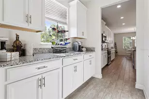 5864 Alenlon Way, Mount Dora, FL 32757 - Photo 7