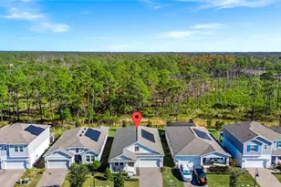 5656 Quiet Palm Loop, Saint Cloud, FL 34771 - Photo 33