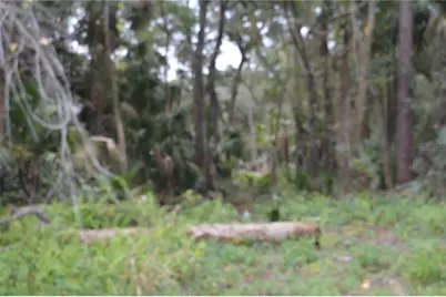 0 Hester Avenue Avenue, Sanford, FL 32773 - Photo 3