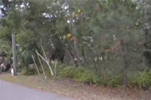 0 Hester Ave Ave, Sanford, FL 32773 - Photo 5