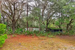 910 S County Road 21, Hawthorne, FL 32640 - Photo 5