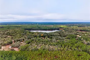 910 S County Road 21, Hawthorne, FL 32640 - Photo 13