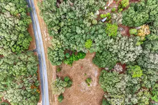 910 S County Road 21, Hawthorne, FL 32640 - Photo 11