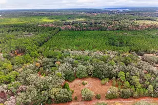 910 S County Road 21, Hawthorne, FL 32640 - Photo 9