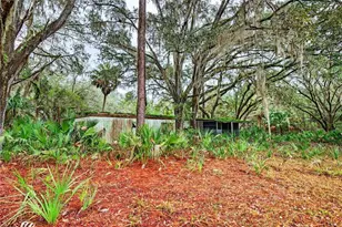 910 S County Road 21, Hawthorne, FL 32640 - Photo 7