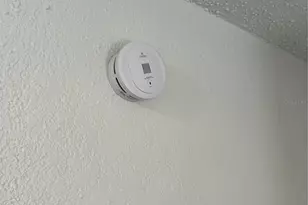 812 Marion St, Daytona Beach, FL 32114 - Photo 15