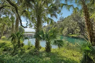 547 Orient Ave, Debary, FL 32713 - Photo 43