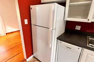 1904 E Marks St, Orlando, FL 32803 - Photo 9