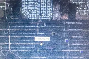 556 Quail Ave, Sebring, FL 33870 - Photo 1