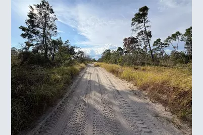 556 Quail Avenue, Sebring, FL 33870 - Photo 3