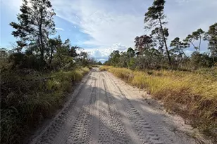 556 Quail Ave, Sebring, FL 33870 - Photo 3