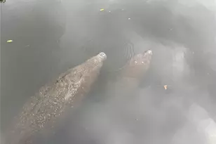 805 30th Ct E, Bradenton, FL 34208 - Photo 41