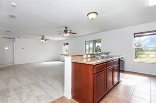 221 Star Shell Dr, Apollo Beach, FL 33572 - Photo 11