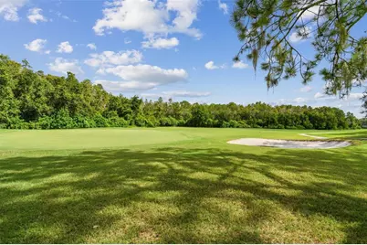 5354 Lookout Pass, Wesley Chapel, FL 33544 - Photo 37