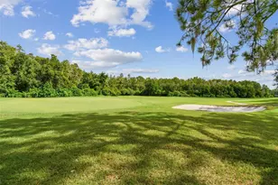 5354 Lookout Pass, Wesley Chapel, FL 33544 - Photo 37